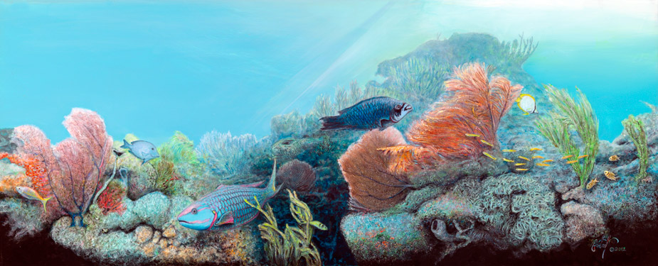 “Coral Reefscapes -Plate 1” © Peter R. Gerbert, Florida Wildlife Art