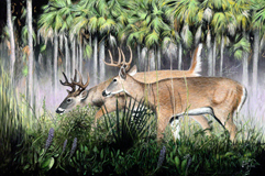 Big Cypress Bucks -Full-size Canvas Reproduction
