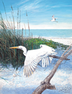 Coastal Bliss -Fine Art Paper Print
