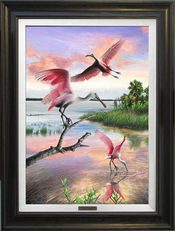 The Spoonbill Lagoon -Natural Wood Frame