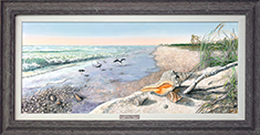 Gems of the Florida Coastline -Sedona Driftwood Frame