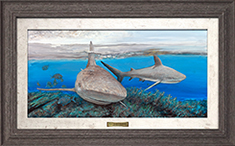 Reef Shark Encounter -Sedona Driftwood & Textured Frames